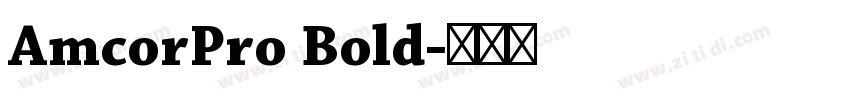 AmcorPro Bold字体转换